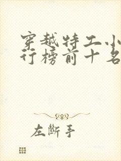 穿越特工小说排行榜前十名封面