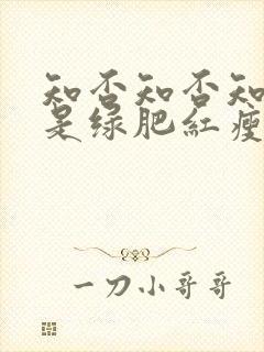 知否知否知否应是绿肥红瘦是什么朝代封面