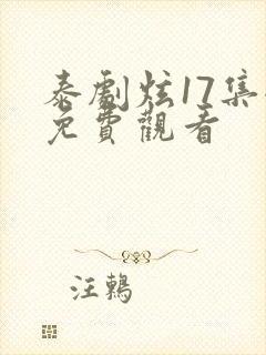 泰剧炫17集全免费观看