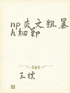 np爽文粗暴高h细节