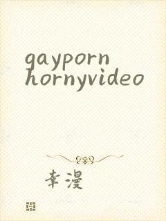 gaypornhornyvideo封面