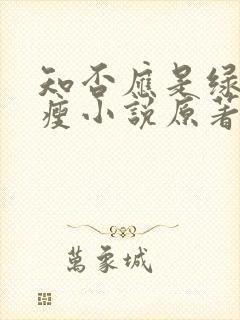 知否应是绿肥红瘦小说原著封面