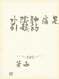 外阴肿痛是什么引起的