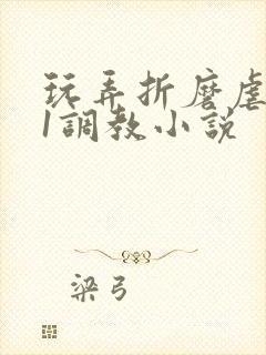 玩弄折磨虐女91调教小说