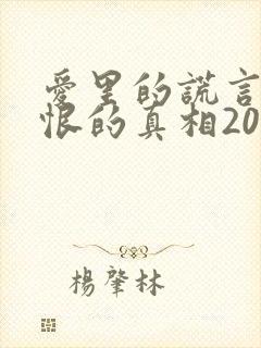 爱里的谎言,仇恨的真相20