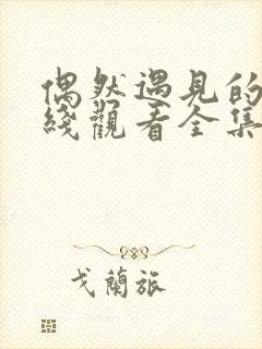 偶然遇见的你在线观看全集免费