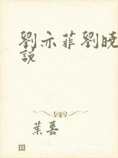 刘亦菲刘晓莉小说