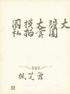 国模大胆大尺度私拍套图封面