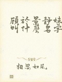 顾于景静姝小说叫什么名字