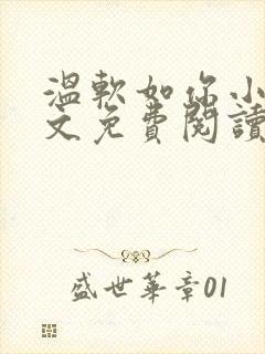 温软如你小说全文免费阅读