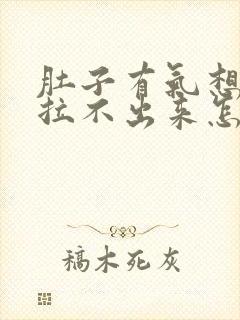 肚子有气想拉屎拉不出来怎么回事儿