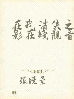 在我消失之前电影在线观看免费播放