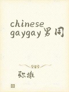 chinesegaygay男同