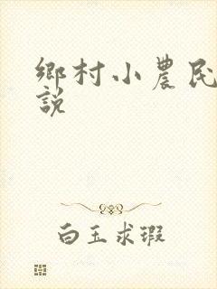 乡村小农民的小说