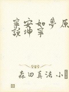 宁安如梦原著小说坤宁