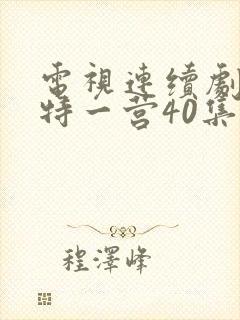 电视连续剧我的特一营40集