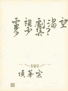 电视剧渴望一共多少集?