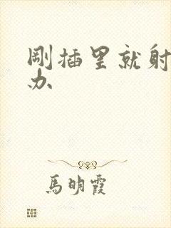 刚插里就射怎么办