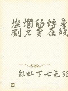 灿烂的转身电视剧免费在线观看