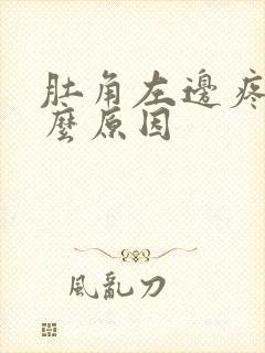 肚角左边疼是什么原因