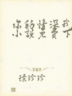 你的情深我不配小说免费下载