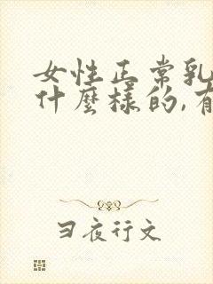 女性正常乳房是什么样的,有硬块吗