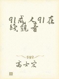 91成人91在线观看