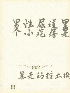 男性尿道里有一个小疙瘩是怎么回事