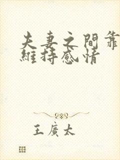 夫妻之间靠什么维持感情封面