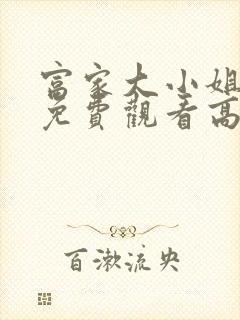 富家大小姐电影免费观看高清