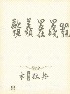 欧美男男gay视频在线观看