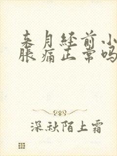 来月经前小肚子胀痛正常吗封面