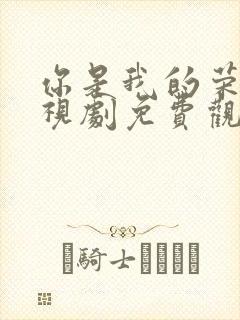 你是我的荣耀电视剧免费观看全集在线播放