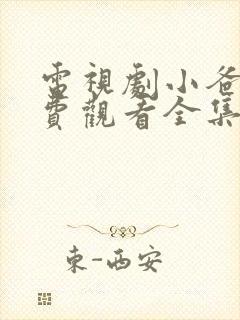 电视剧小爸爸免费观看全集国语版