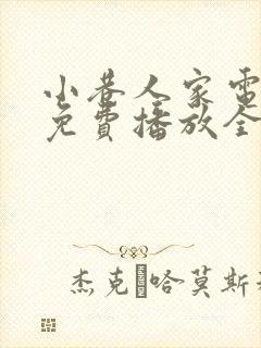 小巷人家电视剧免费播放全集高清封面