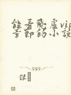 能看飞卢vip章节的小说书源