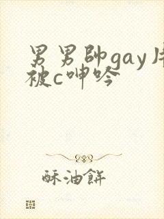 男男帅gay片被c呻吟