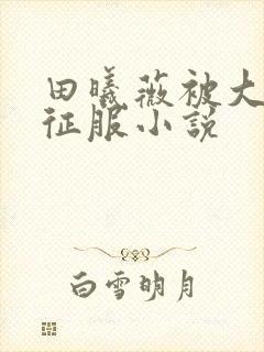 田曦薇被大肉楱征服小说