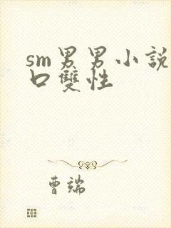 sm男男小说重口双性