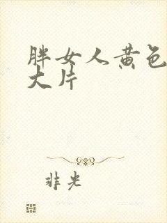 胖女人黄色一级大片封面