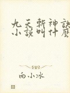 九天斩神诀林辰小说叫什么名