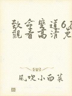 致命弯道6在线观看高清免费观看