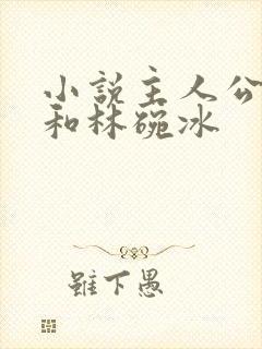 小说主人公秦浩和林碗冰