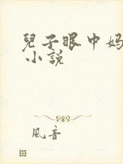 儿子眼中妈妈的 小说