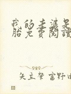 我的老婆是双胞胎免费阅读