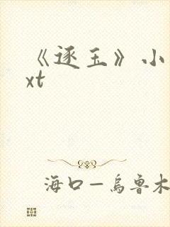 《逐玉》小说txt封面