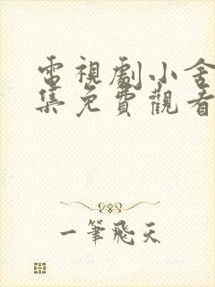 电视剧小舍得全集免费观看西瓜封面