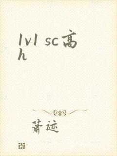 1v1 sc高h