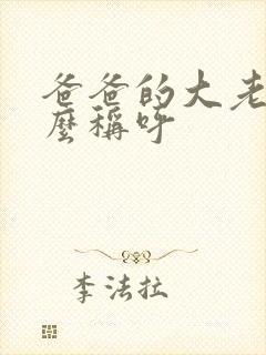 爸爸的大老婆怎么称呼