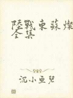 陆战东苏灿免费全集